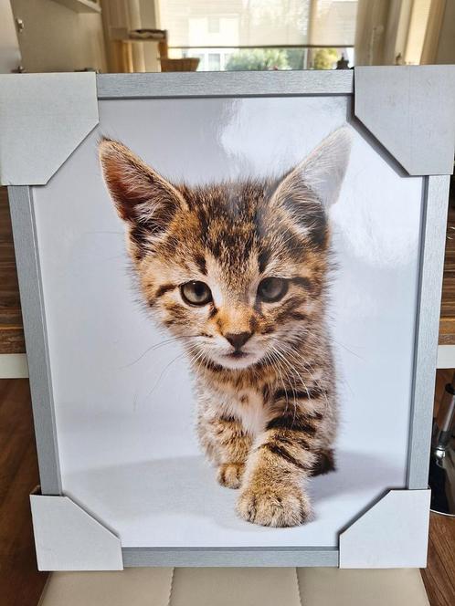 Mooie wanddecoratie kitten / kat, inclusief lijst (nieuw), Huis en Inrichting, Woonaccessoires | Wanddecoraties, Nieuw, Ophalen