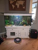 3x aquarium met chiller verwarming etc, Dieren en Toebehoren, Vissen | Aquaria en Toebehoren, Ophalen, Leeg aquarium