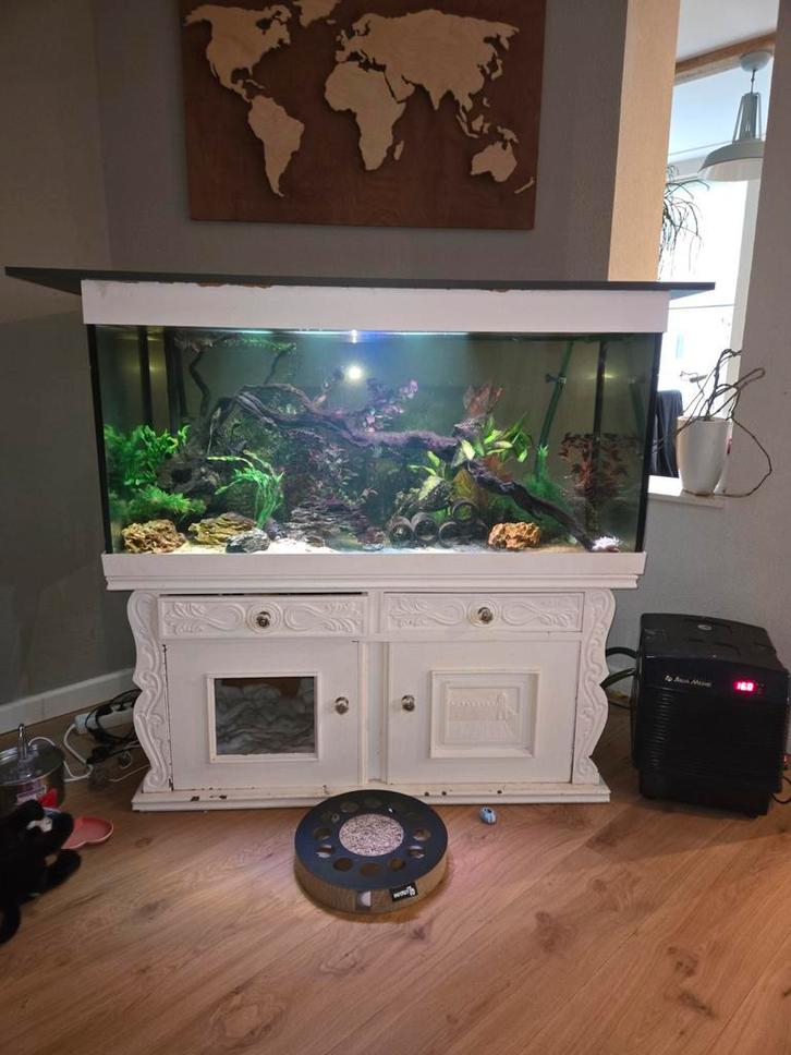 3x aquarium met chiller verwarming  axelotl vissen etc, Dieren en Toebehoren, Vissen | Aquaria en Toebehoren, Leeg aquarium, Ophalen