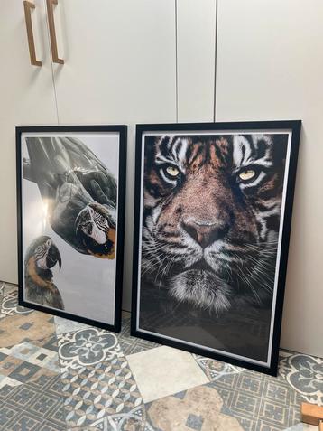 Set grote dieren posters | tijger en papegaaien beschikbaar voor biedingen