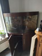 Juwel Hoek Aquarium met Onderkast en Pomp 2 ledlampen, Dieren en Toebehoren, Vissen | Aquaria en Toebehoren, Ophalen of Verzenden