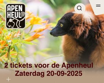 2 apelheul kaartjes voor zaterdag 20 september. beschikbaar voor biedingen