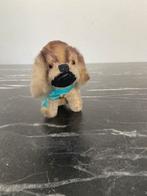 Steiff hond zonder knop13 cm, Ophalen of Verzenden