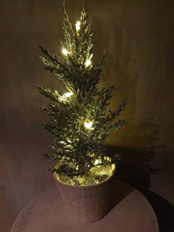 Kerstboompje beschikbaar voor biedingen