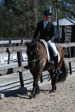 Bijrijdpaard gezocht/bijrijder aangeboden/stalhulp aangebode, Dieren en Toebehoren, Ophalen of Verzenden