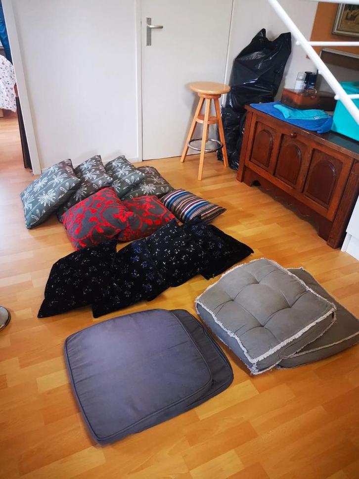 Diverse Sierkussens - Leuke Mix!, Huis en Inrichting, Woonaccessoires | Kussens, Gebruikt, Overige kleuren, Overige vormen, Ophalen