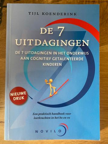 Tijl Koenderink - De 7 uitdagingen beschikbaar voor biedingen