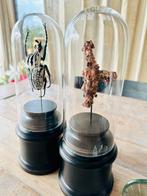 Stolpen mini stolp in vitrinekast display cabinet 2 stuks, Ophalen, Gebruikt