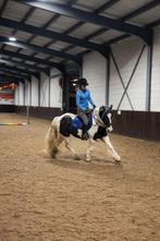 Bijrijder/Leaser aangeboden, Ophalen of Verzenden