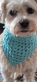 Boho Chique halsdoek voor je klein tot middelgroot hond, Verzenden, Nieuw, Hondenhalsdoek