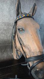Hoofdstel maat full van waldhausen, Ophalen of Verzenden, Nieuw, Dressuur