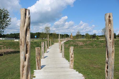 Mooie Speelse Boompalen, Tuin en Terras, Palen, Balken en Planken, Nieuw, Palen, 250 cm of meer, Hardhout, Ophalen of Verzenden
