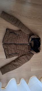 Zara Winterjas Dames Maat M Olijfgroen, Maat 38/40 (M), Zara, Ophalen of Verzenden, Zo goed als nieuw