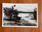 Steenbergen (Dr.). Zuurse Duinen., Verzamelen, Ansichtkaarten | Nederland, Ophalen of Verzenden, 1940 tot 1960, Ongelopen, Drenthe