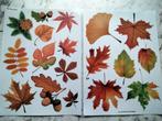 Herfst bladeren raamstickers herbruikbaar, Verzenden, Nieuw