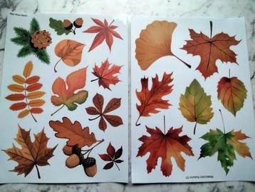 Herfst bladeren raamstickers herbruikbaar  beschikbaar voor biedingen