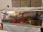140cm terrarium, ruilen!, Ophalen, Gebruikt, Terrarium of Paludarium