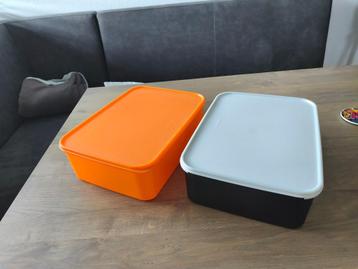 Tupperware Double Crisper (2x)  beschikbaar voor biedingen