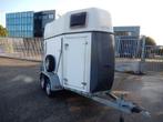 WESTTRAILERS PT135 Westeria 1½ Paards WG-RF-23 (bj 2003), Gebruikt, Overige typen