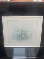 aquarel winter voorjaar krokusjes Elly Doolaart Kroon, Ophalen