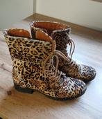 Cristofoli damesschoenen maat 38, Ophalen, Meisje, Overige typen, Nieuw