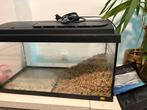 Juwel aquarium 60x30x30, Dieren en Toebehoren, Ophalen of Verzenden, Zo goed als nieuw, Leeg aquarium