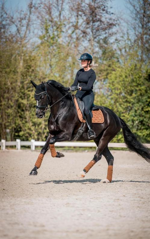 Training, begeleiding & verkoop, Dieren en Toebehoren, Stalling en Weidegang