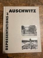 Representations of Auschwitz - Boek, Ophalen of Verzenden, Tweede Wereldoorlog, Gelezen, Overige onderwerpen