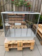 Mooi grote vogelkooi met toebehoren te koop, Dieren en Toebehoren, Vogels | Hokken en Kooien, Ophalen, Zo goed als nieuw, Metaal