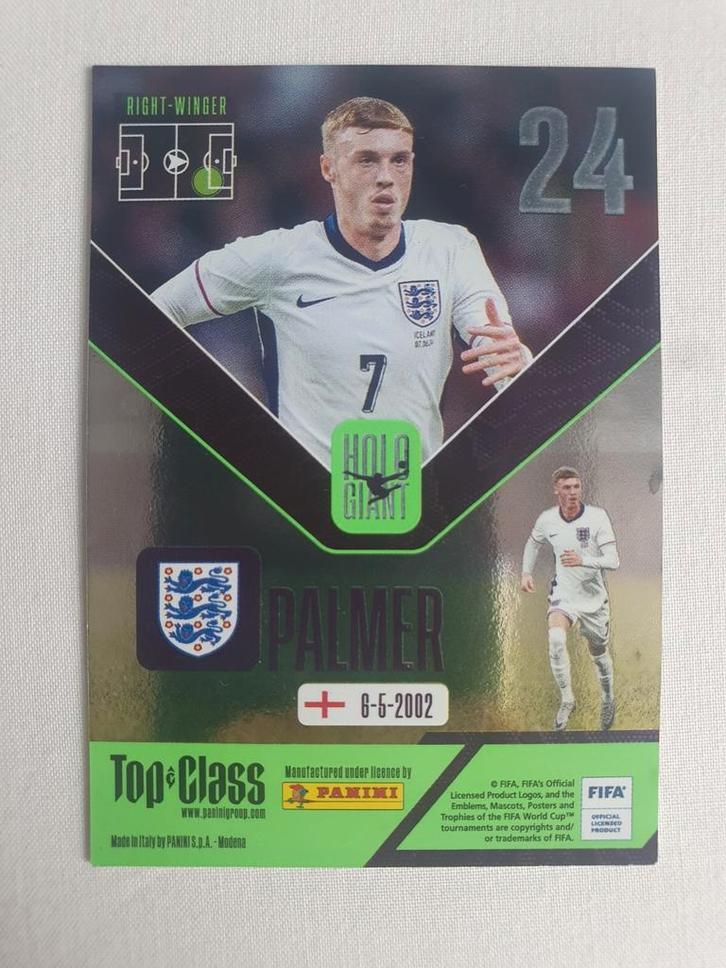 Palmer voetbalkaart Holo Giant, Hobby en Vrije tijd, Stickers en Plaatjes, Zo goed als nieuw, Plaatje, Ophalen of Verzenden