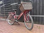 Batavus Diva 20" met rieten mand, Fietsen en Brommers, Ophalen, Zo goed als nieuw, 20 inch