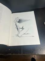 Mirage - Boris Vallejo - Kunstboek, Ophalen of Verzenden, Zo goed als nieuw, Overige onderwerpen