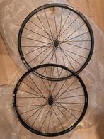 DT swiss E1800 spline wielset, Ophalen of Verzenden, Racefiets, Wiel