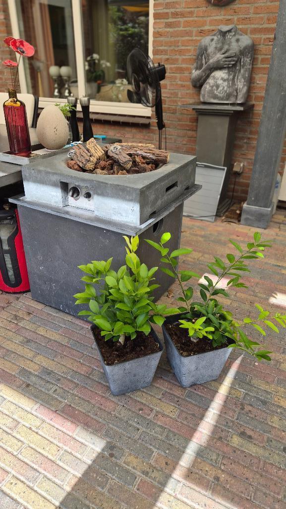 Happy Cocooning vuurtafel, Huis en Inrichting, Haarden, Zo goed als nieuw, Gashaard, Ophalen