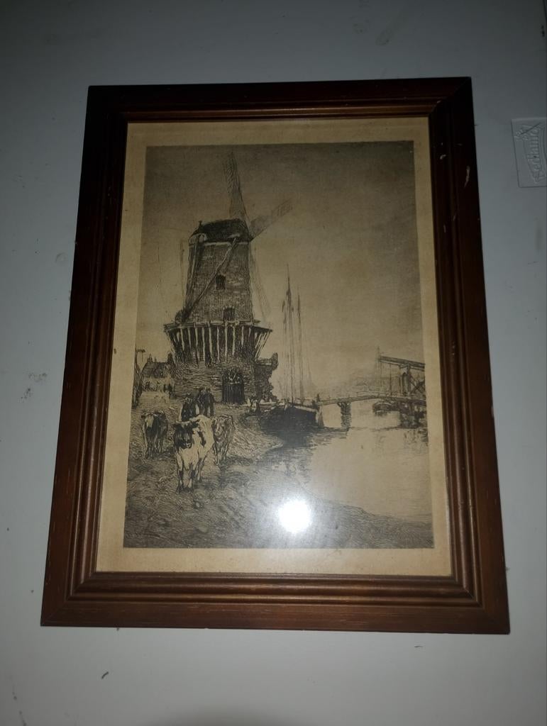 Oude prent met molen en koeien, Ophalen of Verzenden