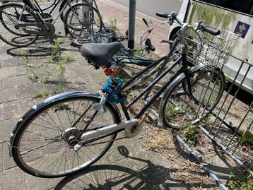 Damesfiets beschikbaar voor biedingen
