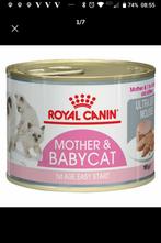 Voordeelprijsje: 6 blikken Royal Canin Mother & Babycat, Ophalen, Kat