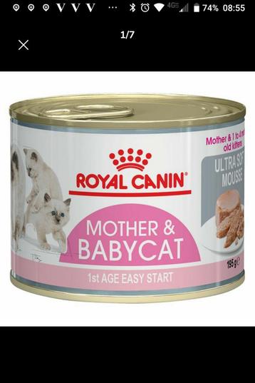Voordeelprijsje: 6 blikken Royal Canin Mother & Babycat beschikbaar voor biedingen