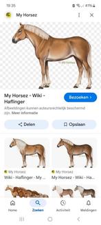 Oude type haflinger gezocht!, Ophalen of Verzenden