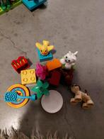 Duplo huisdieren, Ophalen of Verzenden, Zo goed als nieuw, Duplo