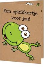 WIE HEEFT DEZE STANSJES GEBOORTE CONDOLEANCE AUTO, Ophalen of Verzenden, Zo goed als nieuw, Overige thema's, Overige typen