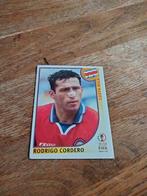 Panini WK 2002, Hobby en Vrije tijd, Stickers en Plaatjes, Ophalen of Verzenden, Zo goed als nieuw, Sticker