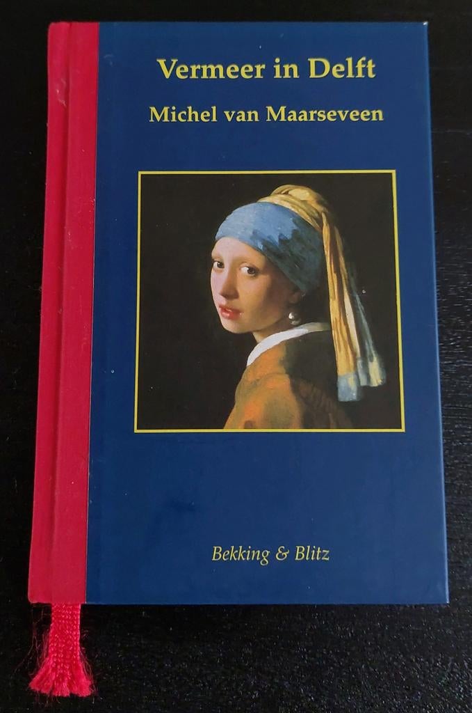 Vermeer in Delft, Ophalen of Verzenden, Zo goed als nieuw