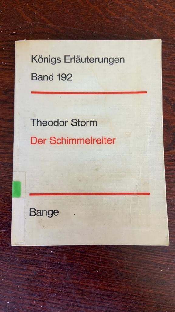Der schimmelreiter - Theodor Storm, Ophalen of Verzenden