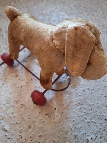 Hondje op wielen beschikbaar voor biedingen