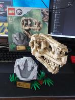 Lego jurassic 76964, Kinderen en Baby's, Speelgoed | Duplo en Lego, Ophalen, Zo goed als nieuw, Complete set, Lego