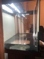 Aquarium Juwel 60x65x40 met kast en verlichting, Ophalen, Leeg aquarium
