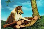 Lassie, Verzamelen, Gelopen, Ophalen of Verzenden, Sterren en Beroemdheden