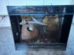 Terrarium, Dieren en Toebehoren, Ophalen of Verzenden