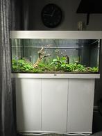 Juwel aquarium met JBL LED, Co2 en overige toebehoren, Dieren en Toebehoren, Vissen | Aquaria en Toebehoren, Zo goed als nieuw